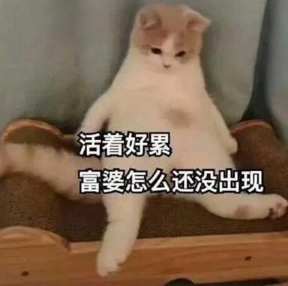 ���ڸ��ŵı�������� ���ű������˵���˲�Ŭ��