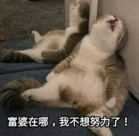 ���ڸ��ŵı�������� ���ű������˵���˲�Ŭ��