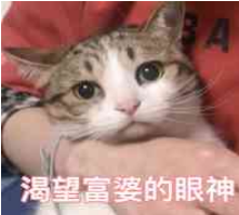 ���ڸ��ŵı�������� ���ű������˵���˲�Ŭ��