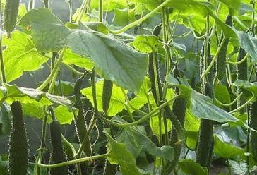 �������߲������ȫ �������߲�Ʒ������Щ