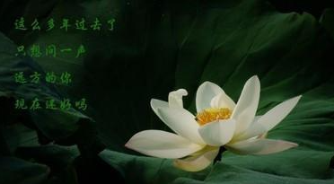 ��һ������ʲô�о� ������Ϊ����