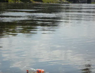 �μ���ˮ��ס��ʲô���� ���������β���̫���ڽ���