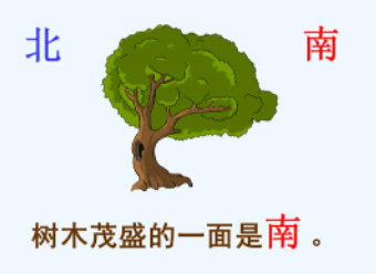 ��µ����������ʧ���� �����б����ķ���