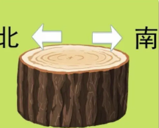 ��µ����������ʧ���� �����б����ķ���