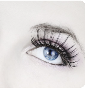 ��ü�ļ۸����Ƕ���Ǯ ����������ü����Щ����