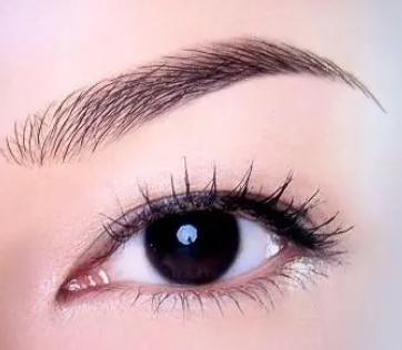 ��ü�ļ۸����Ƕ���Ǯ ����������ü����Щ����