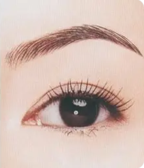 ��ü�ļ۸����Ƕ���Ǯ ����������ü����Щ����