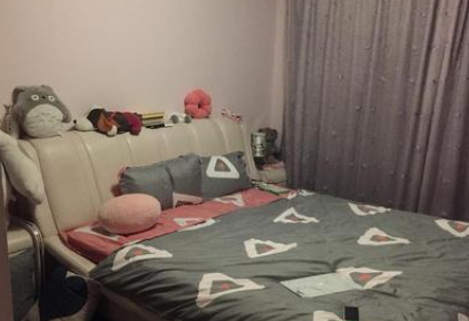 ���ɼ����й���ô�͹��� �����й�������