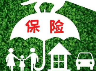 保险电子商务是干什么的 定义详细介绍