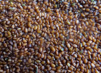 ������Ĥһ�����ٷ�������� ������Ĥ�����ʱ��