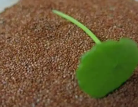 ������Ĥ��ôʹ�� ������Ĥ������ôʹ��