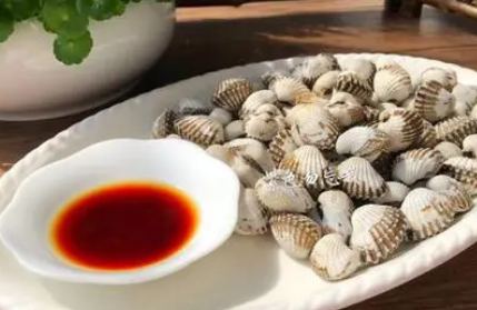 血蚶的功效与作用禁忌 食用禁忌是什么