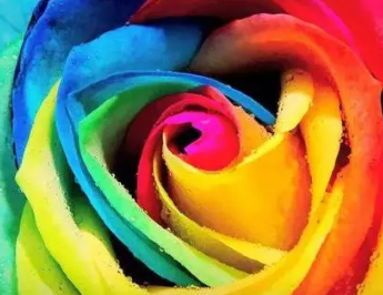 爱情代表什么颜色 代表爱情的颜色