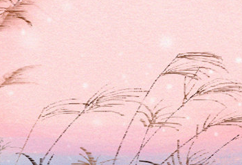 ʮ������������ʯ��Ӧ�� ʮ���������ػ�ʯ��ʲô