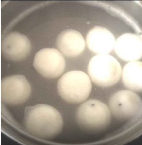 ����Բ���������� �����²�������Բ