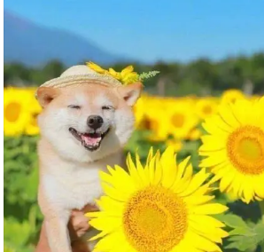 ������ѡ����һ��Ⱥ�� �Ƚ��д����Ⱥ������