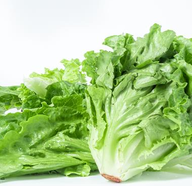 ��û��ʲô�취��ȥ�ڳ� �߸����ȥ�ڳ�