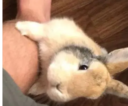 �����Ѻ�ϲ������С���� ����ϰ�����Һ���