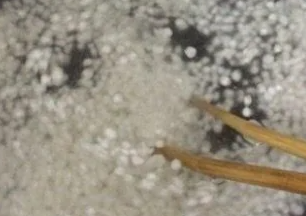 ������ô�� ���׵���ȷ�󷨹���