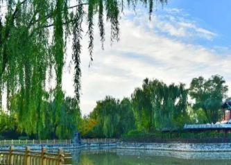 �������ڵ���������ǳ��� ������һ������õط�