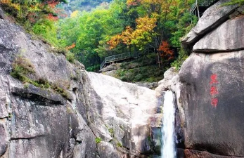 �������ڵ���������ǳ��� ������һ������õط�