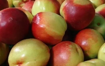 ���ҵĹ�Ч�����ú��� �����ҵ�ע������