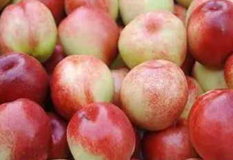 ���ҵĹ�Ч�����ú��� �����ҵ�ע������