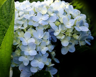 ��л�Ļ���ů�ļ�� �Ƕ����˰����Ļر�