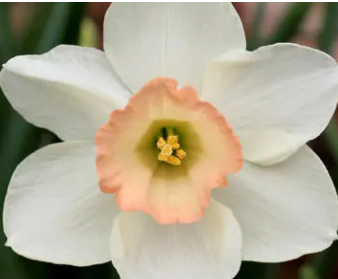 ��л�Ļ���ů�ļ�� �Ƕ����˰����Ļر�