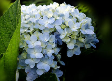 ��л�Ļ���ů�ļ�� �Ƕ����˰����Ļر�