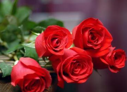 õ�廨���������ĺ��� õ�廨�ͼ������ʲô