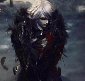 12����ר���ڰ����� �ʹ�ͳ�������кܴ������