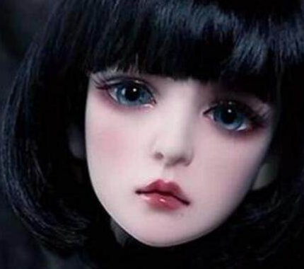 12����ר���ڰ����� �ʹ�ͳ�������кܴ������