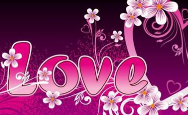 ���˽���¼������� ���˽ھ���������¼
