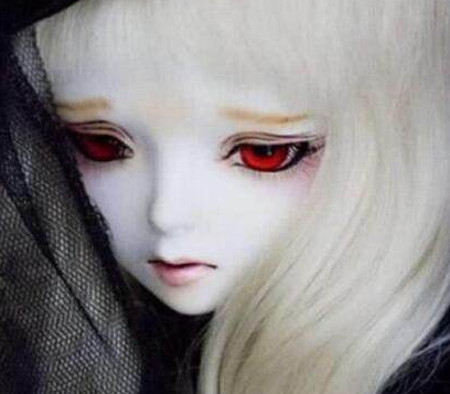 12����ר���ڰ����� �ʹ�ͳ�������кܴ������