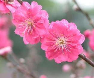 �һ��밮��Ψ������ ��д�һ��ĺþ���