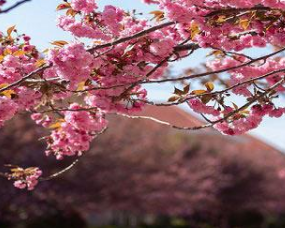 �һ��밮��Ψ������ ��д�һ��ĺþ���