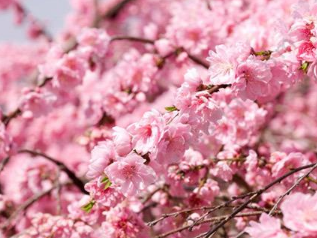 �һ��밮��Ψ������ ��д�һ��ĺþ���