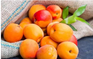 ���ӵĹ�Ч������ Ԥ����Ѫ�ܼ���