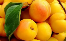 ���ӵĹ�Ч������ Ԥ����Ѫ�ܼ���