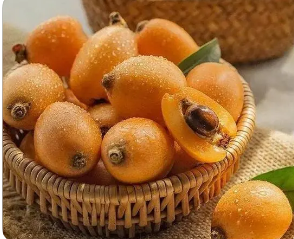 ���˹�ͼƬ��ȫ �ܶ��˶����˹����Ǻ��˽�