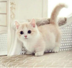 Ů�������ĵĻ��� Ů����ϲ����ʲô���Ļ���