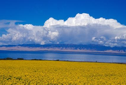 梦见家里发洪水有什么征兆 预示着可能是你好运要来