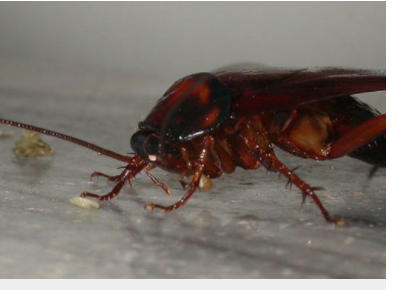 �����ô���� ϴ�·�������뷨