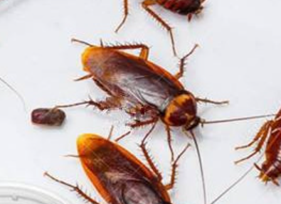 �����ô���� ϴ�·�������뷨