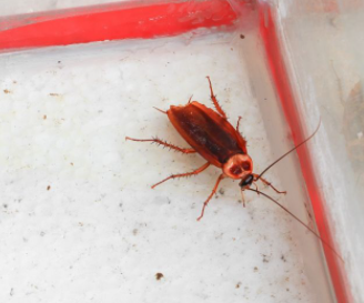 �����ô���� ϴ�·�������뷨