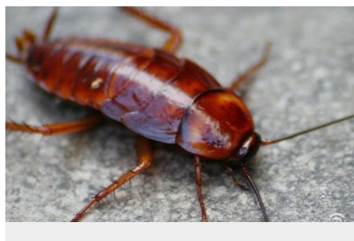 �����ô���� ϴ�·�������뷨