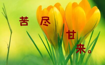 ��������̬�ľ�������Щ �����ǿ������������