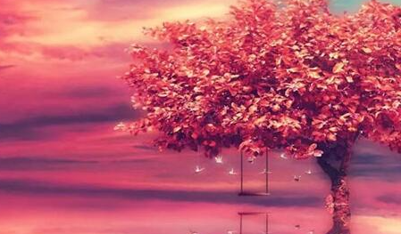 ��������̬�ľ�������Щ �����ǿ������������