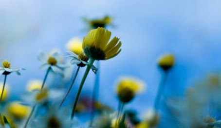 ��������̬�ľ�������Щ �����ǿ������������